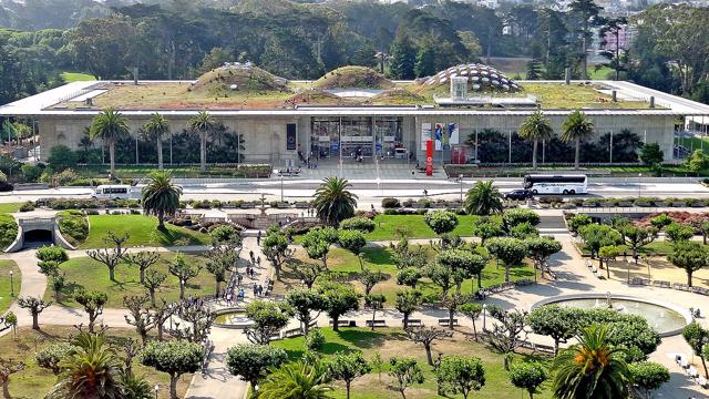 California Academy of Sciences